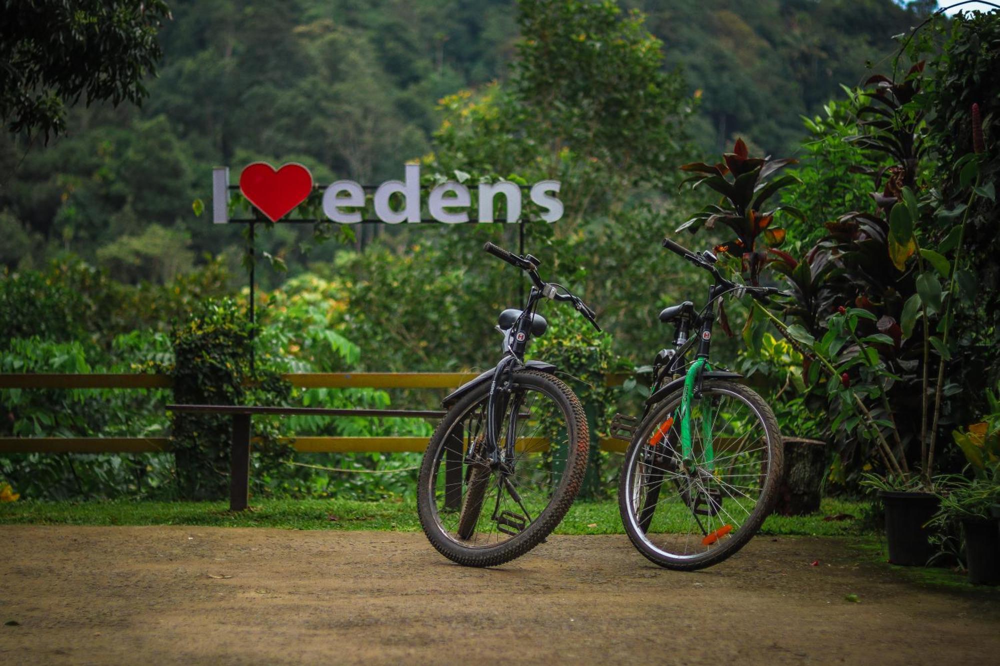 Edens Munnar Hotel Exterior foto